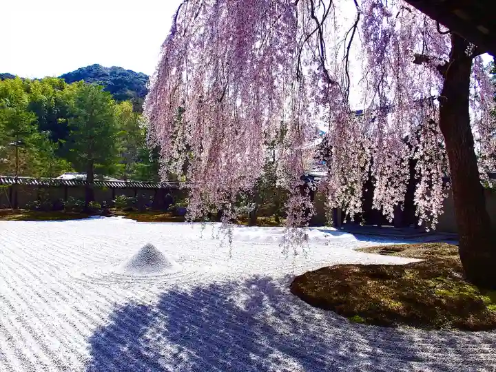 高台寺(高台寿聖禅寺・高臺寺)の庭園