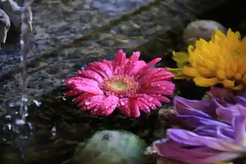 滑川神社 - 仕事と子どもの守り神の手水舎