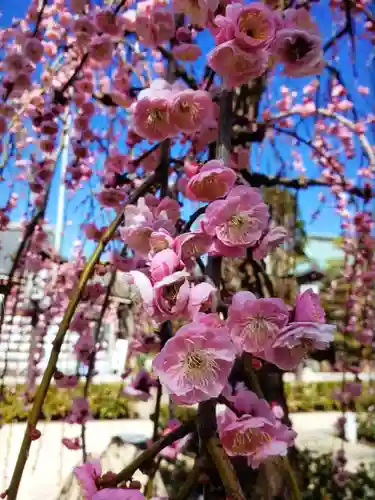 常性寺(東京都)