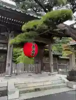 長谷寺(神奈川県)