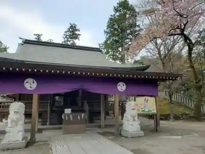唐澤山神社の本殿・本堂