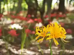 祖光院(千葉県)