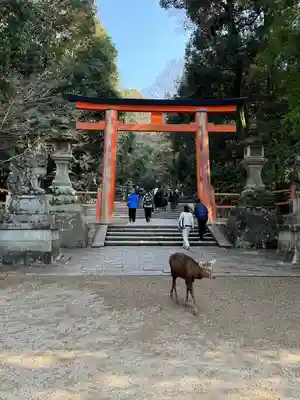春日大社(奈良県)