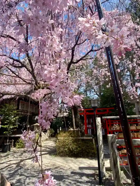 水火天満宮の自然