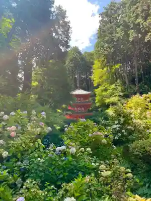 岩船寺の{uncategorized: "未分類", other: "その他", undefined: "問題あり", building: "その他建物", grave: "お墓", sacred_gate: "鳥居", guardian: "狛犬", statue: "像", buddha: "仏像", history: "歴史", nature: "自然", garden: "庭園", animal: "動物", pagoda: "塔", temizu: "手水舎", mountain_gate: "山門・神門", sanctuary: "本殿・本堂", subordinate: "末社・摂社", art: "芸術", scenery: "景色", jizo: "地蔵", ema: "絵馬", goshuin: "御朱印", omikuji: "おみくじ", items: "授与品その他", amulet: "お守り", goshuincho: "御朱印帳", eats: "食事", festival: "お祭り", votive_dance: "神楽", shichigosan: "七五三参", wedding: "結婚式", experience: "体験その他", initially: "初詣", around: "周辺", anti_infection: "感染症対策"}