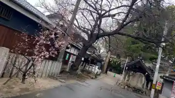 式内楯原神社の{uncategorized: "未分類", other: "その他", undefined: "問題あり", building: "その他建物", grave: "お墓", sacred_gate: "鳥居", guardian: "狛犬", statue: "像", buddha: "仏像", history: "歴史", nature: "自然", garden: "庭園", animal: "動物", pagoda: "塔", temizu: "手水舎", mountain_gate: "山門・神門", sanctuary: "本殿・本堂", subordinate: "末社・摂社", art: "芸術", scenery: "景色", jizo: "地蔵", ema: "絵馬", goshuin: "御朱印", omikuji: "おみくじ", items: "授与品その他", amulet: "お守り", goshuincho: "御朱印帳", eats: "食事", festival: "お祭り", votive_dance: "神楽", shichigosan: "七五三参", wedding: "結婚式", experience: "体験その他", initially: "初詣", around: "周辺", anti_infection: "感染症対策"}