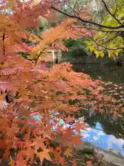 武蔵一宮氷川神社の自然