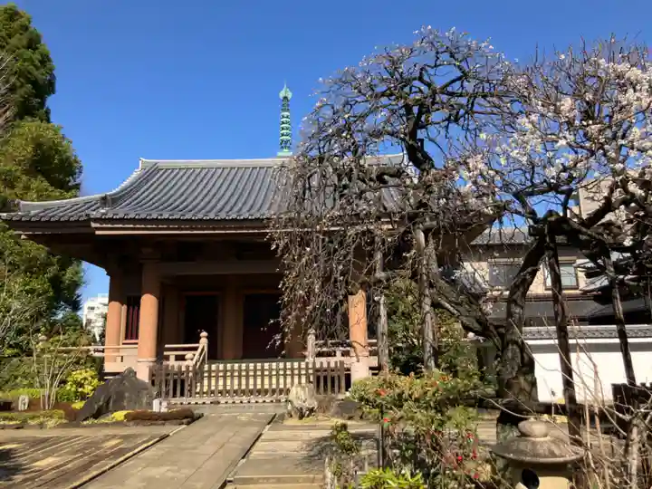 金剛院(仏性寺)(東京都)