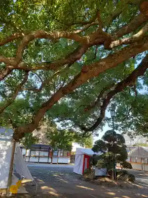 真福寺のその他建物