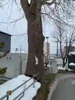 龍宮神社(北海道)