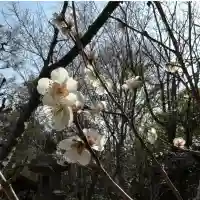 清水稲荷の{uncategorized: "未分類", other: "その他", undefined: "問題あり", building: "その他建物", grave: "お墓", sacred_gate: "鳥居", guardian: "狛犬", statue: "像", buddha: "仏像", history: "歴史", nature: "自然", garden: "庭園", animal: "動物", pagoda: "塔", temizu: "手水舎", mountain_gate: "山門・神門", sanctuary: "本殿・本堂", subordinate: "末社・摂社", art: "芸術", scenery: "景色", jizo: "地蔵", ema: "絵馬", goshuin: "御朱印", omikuji: "おみくじ", items: "授与品その他", amulet: "お守り", goshuincho: "御朱印帳", eats: "食事", festival: "お祭り", votive_dance: "神楽", shichigosan: "七五三参", wedding: "結婚式", experience: "体験その他", initially: "初詣", around: "周辺", anti_infection: "感染症対策"}