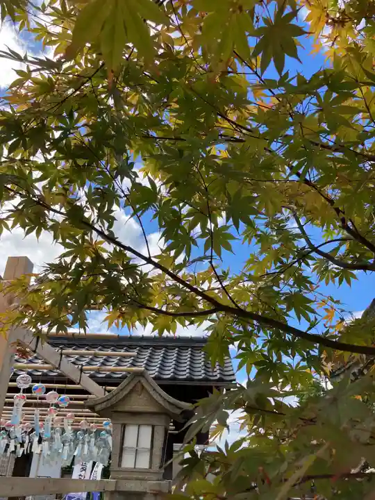 總社 和田八幡宮(福井県)