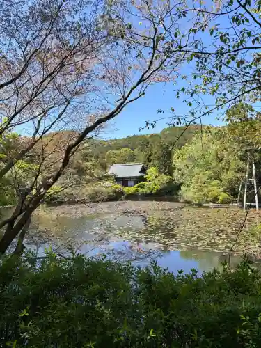 龍安寺(京都府)