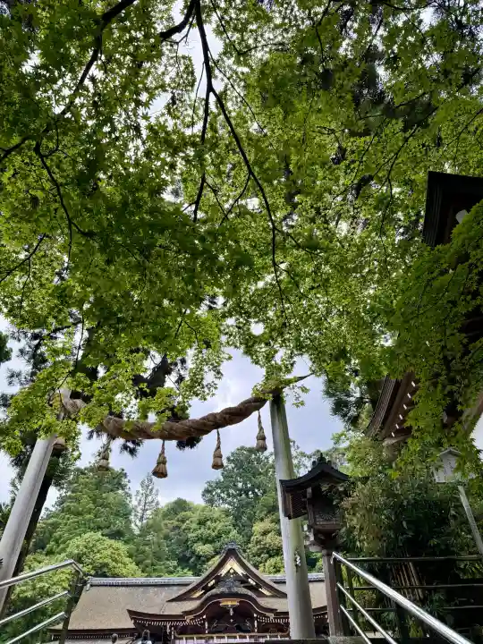 大神神社の{uncategorized: "未分類", other: "その他", undefined: "問題あり", building: "その他建物", grave: "お墓", sacred_gate: "鳥居", guardian: "狛犬", statue: "像", buddha: "仏像", history: "歴史", nature: "自然", garden: "庭園", animal: "動物", pagoda: "塔", temizu: "手水舎", mountain_gate: "山門・神門", sanctuary: "本殿・本堂", subordinate: "末社・摂社", art: "芸術", scenery: "景色", jizo: "地蔵", ema: "絵馬", goshuin: "御朱印", omikuji: "おみくじ", items: "授与品その他", amulet: "お守り", goshuincho: "御朱印帳", eats: "食事", festival: "お祭り", votive_dance: "神楽", shichigosan: "七五三参", wedding: "結婚式", experience: "体験その他", initially: "初詣", around: "周辺", anti_infection: "感染症対策"}