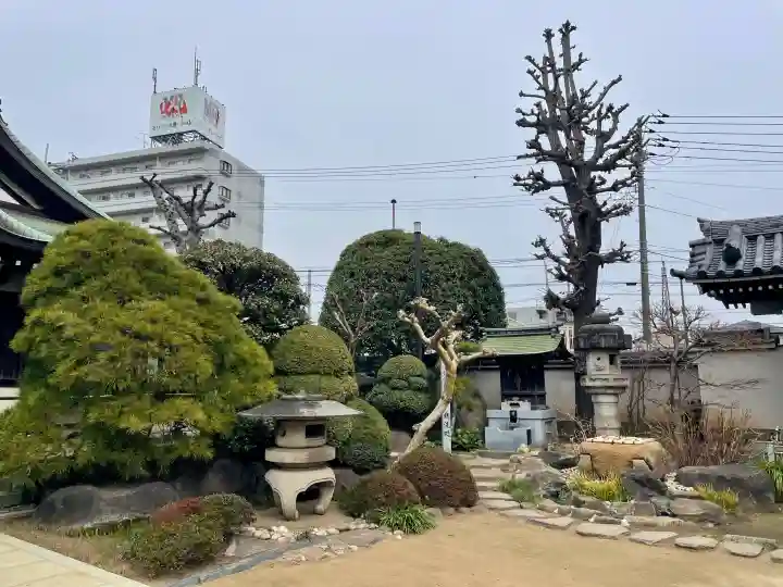 観音寺の{uncategorized: "未分類", other: "その他", undefined: "問題あり", building: "その他建物", grave: "お墓", sacred_gate: "鳥居", guardian: "狛犬", statue: "像", buddha: "仏像", history: "歴史", nature: "自然", garden: "庭園", animal: "動物", pagoda: "塔", temizu: "手水舎", mountain_gate: "山門・神門", sanctuary: "本殿・本堂", subordinate: "末社・摂社", art: "芸術", scenery: "景色", jizo: "地蔵", ema: "絵馬", goshuin: "御朱印", omikuji: "おみくじ", items: "授与品その他", amulet: "お守り", goshuincho: "御朱印帳", eats: "食事", festival: "お祭り", votive_dance: "神楽", shichigosan: "七五三参", wedding: "結婚式", experience: "体験その他", initially: "初詣", around: "周辺", anti_infection: "感染症対策"}