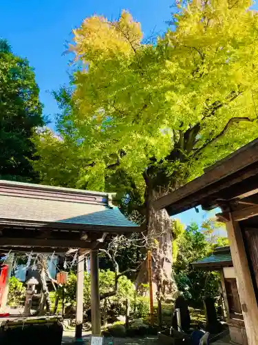 荏柄天神社(神奈川県)