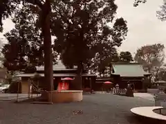 星川杉山神社の景色