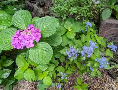 五十稲荷神社(栄寿稲荷神社)(東京都)