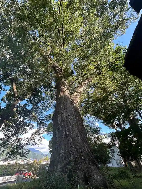 八坂神社(長野県)
