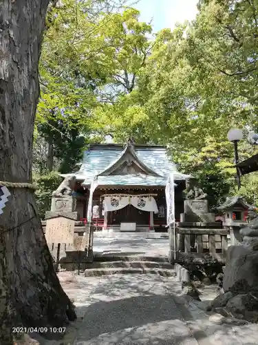 今宮神社の本殿・本堂