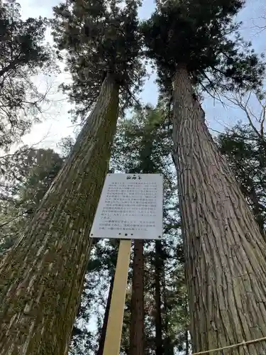 大神神社(栃木県)