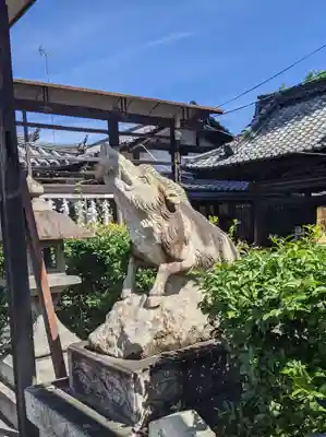 摩利支天堂 禅居庵の狛犬