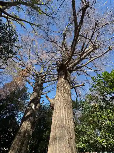 稲荷神社(東京都)
