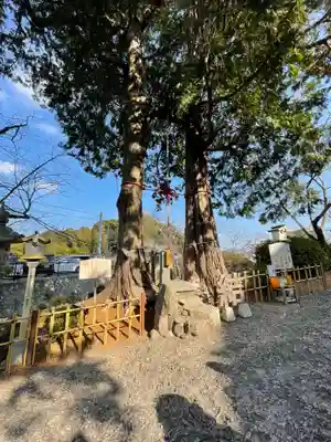 武雄神社(佐賀県)