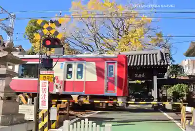 遍照院(神奈川県)