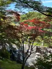 永源寺(茨城県)