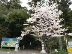 笠森寺(千葉県)