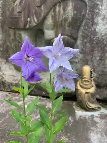 徳蔵寺(茨城県)