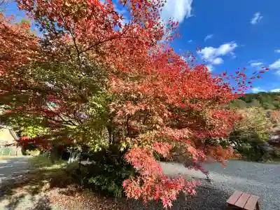 柳谷観音　楊谷寺(京都府)