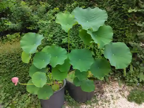 仙蔵寺(東京都)