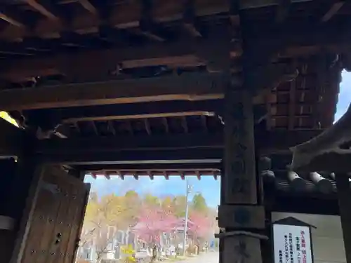 最勝金剛院の山門・神門