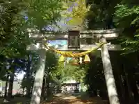 八坂神社(滋賀県)