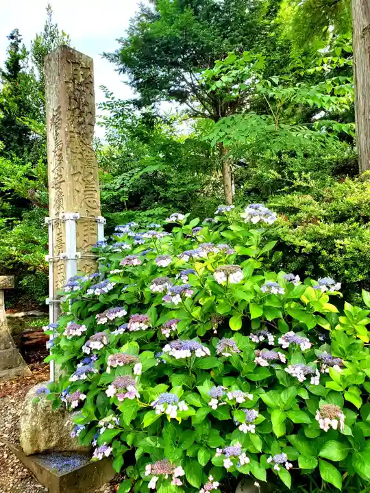 隠津島神社(福島県)