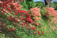 高屋敷稲荷神社の庭園