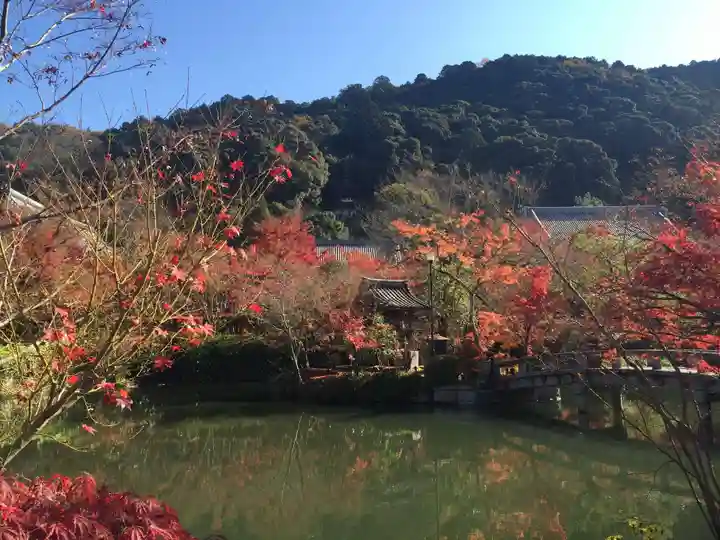 禅林寺(永観堂)の庭園