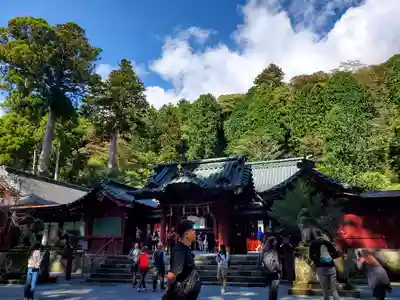 箱根神社(神奈川県)