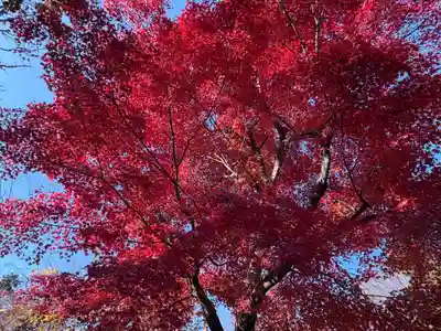 天龍寺(京都府)