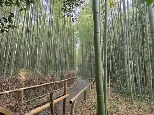 野宮神社(京都府)