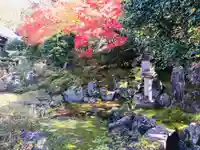 霊鑑寺門跡の景色