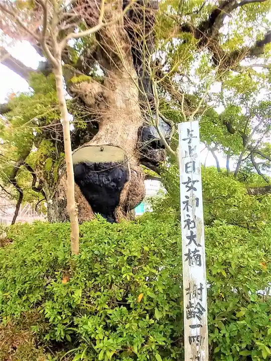 與止日女神社の自然