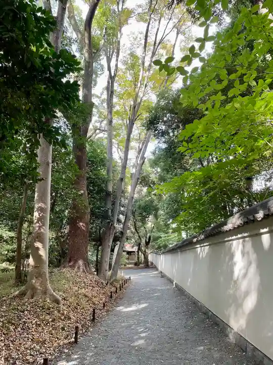 錦春稲荷大明神(東京都)