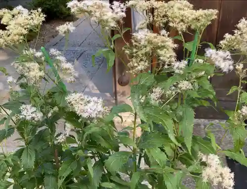 尊陽院(京都府)