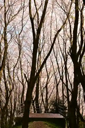 熊野神社(愛媛県)