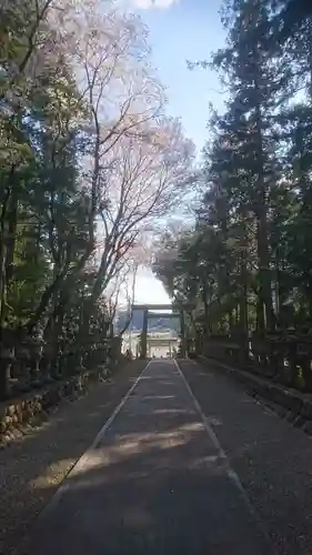 伊波乃西神社の自然