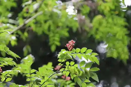 鹿島大神宮の庭園