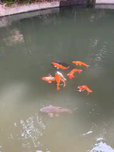 巌島神社(茨城県)
